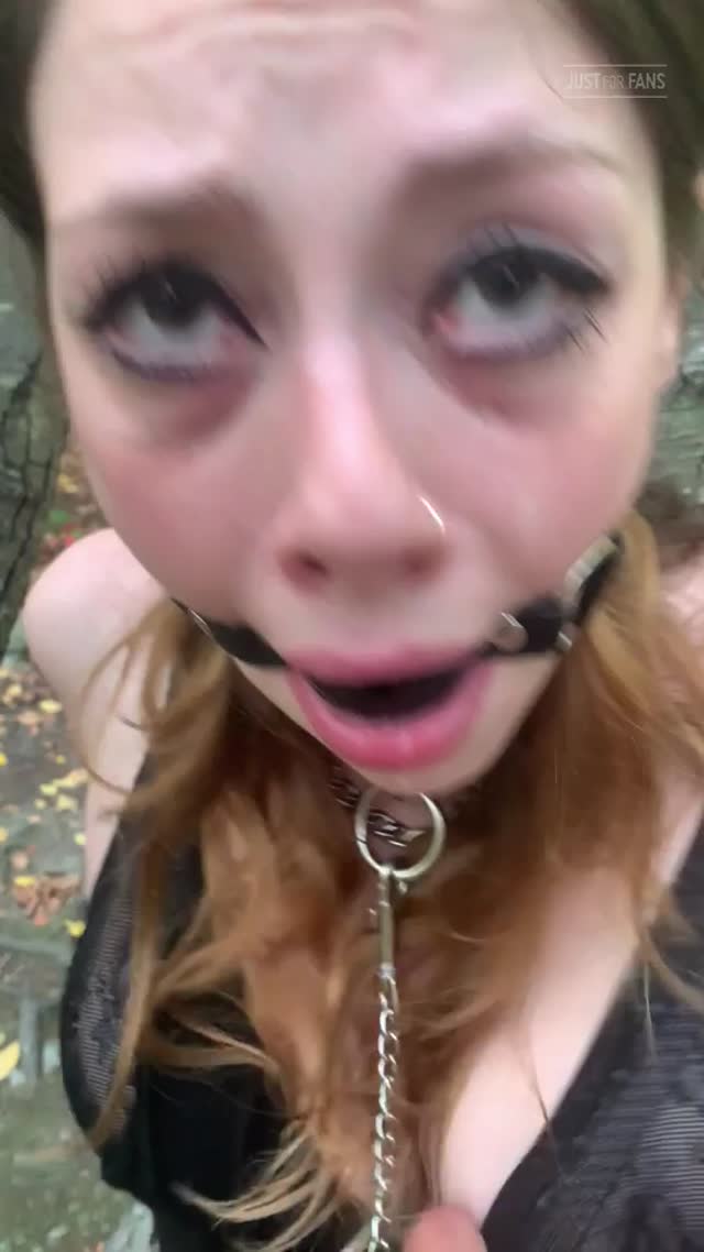 Forest clip / Take me to the woods