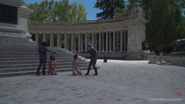 Pet Bitches Disgraced on Public Walk