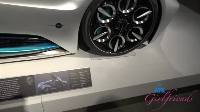 Auto Museum 1/2 (1459 Scene #1)