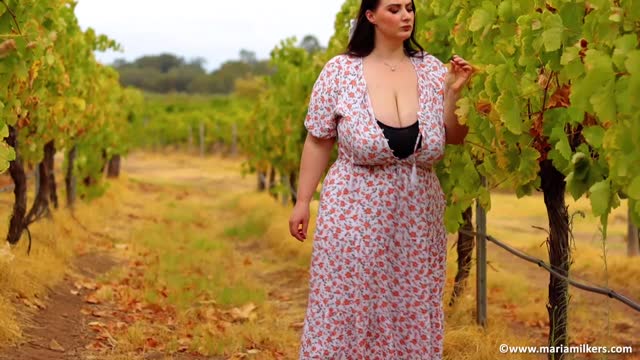 Vineyard