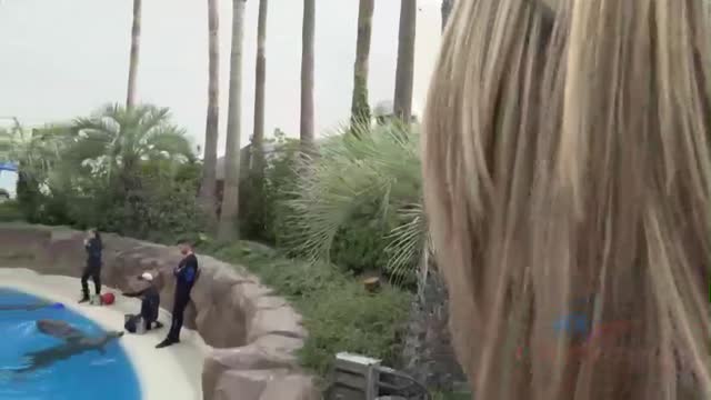 Las Vegas 1/3 (191 Scene #1)