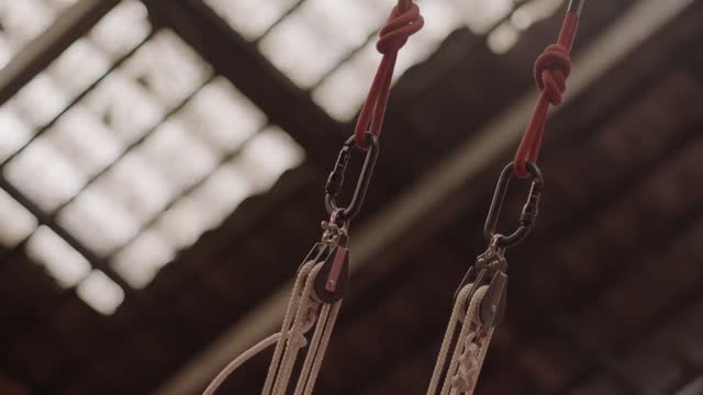 Circus Aerius Perversus