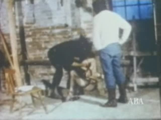 Nazi Experiments / Nazi SEXperiments