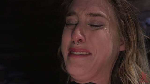 The Destruction Of Cadence Luxe